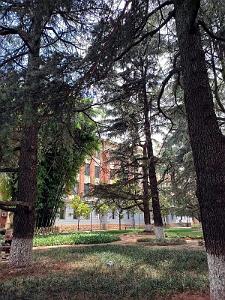 Kunming - Universite du Yunnan (53)